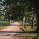 K드라마 성지순례 이미지