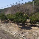 주천면 행정마을 Daum카페