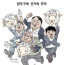 노영희 &#34;이준석, 명태균에 7~8회 여론조사 의뢰하고 돈 안 내&#34; 이미지