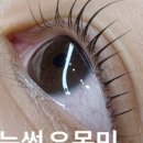 진주뷰티