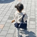 가을에 경주 아이랑 첨성대 해바라기 핑크뮬리 주차장
