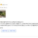 티비엠몰