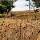 선학역 1번출구 이미지