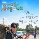 캔가스 이미지