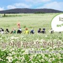 볼만한곳 ☆ 메밀꽃잔치가 열리고 있는 보리나라 학원농장 그리고 여행 후기 영광굴비 이야기 (2022.9.18)