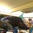 상순이네 하우스 이미지