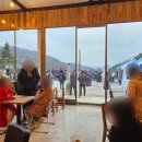 강원대형전문공업사 | 강원 인제 자작나무숲길 구상나무숲길 대형 베이커리 맛집 트리헌드레드 카페