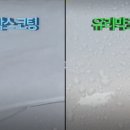 뉴월드비전 이미지