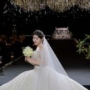 엘로디 | W19. 본식 끝 엘로디 아이폰 스냅 리얼 후기 ｜원본 보정 비교｜짝꿍코드 250824 한아인 ｜가격