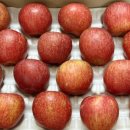 진이네농장 이미지