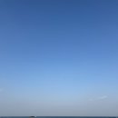 [포항] 오션뷰 포항대형카페 오딘 동해바다 일출명소 부모님 아이랑 애견동반가능 솔직후기