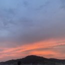 슬로시티청산도 | 완도 속 슬로시티 청산도 내돈내산 여행후기 청산도항 배 정보