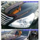 덴트렉스 이미지