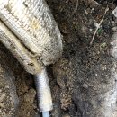 깨끗한나라세탁소 이미지