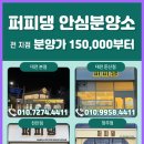 퍼피댕 강아지분양 안심분양소 청주점 말티푸미니비숑토이푸들 이미지