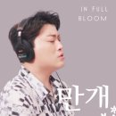만개꽃