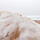 소베라니아 이미지