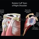 경희몸신한의원 이미지