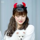 다 - 중랑구 | 다