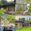 [안성 여행] 오정막국수/피다2/솔향기흙내음/온스어폰어네이처