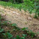 유수농장 이미지