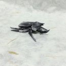 종이접기A 이미지