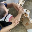 견수저 이미지