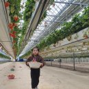 유봉농장 이미지