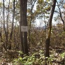 농협 주차장 이미지