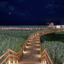 샤브향 다대점 이미지