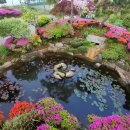 송우펜션 이미지