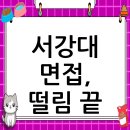 서강대학교 | 서강대학교 면접 컨설팅 후기, 떨림을 확신으로 바꾸다