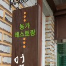 엄니식당 Daum카페