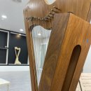 셀레네음악학원