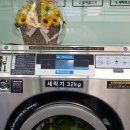 크린업24아산용화점