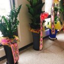 한씨오대 혁신한의원 이미지