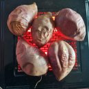 날궂은날 따뜻한 군고구마 이미지