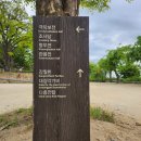 여주시장애인복지관 | 경기도 부처님오신날 가볼만한 사찰 여주 신륵사