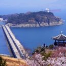 오동도 이미지