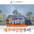 마당발 투어