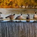 일상생활의 편리한 스마트폰&키오스크활용 | 스마트폰 없이 공공기관 예약하는 방법과 주민센터 활용법