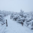 소백산 비로봉 눈꽃산행(1,440m) 이미지