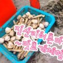 지에스25태안마검포점 이미지