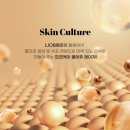 케이피부 네이버블로그