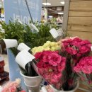 군산농협 로컬푸드직매장 하나로마트 이미지