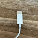 {유선이어폰추천} 애플 이어팟(EarPods) 후기, C타입 이어폰 추천;