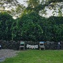 스테이552 이미지