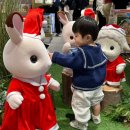 11650-16-28-12 | 16개월 아기 육아일기 | 온 세상을 너만의 걸음으로 12/22~12/28