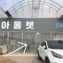 쎄드데플란타
