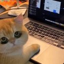 아이덴 | 장점밖에 없다구요 • 26ss신상 • “ 아이덴 부산대스터디카페 ” 방문후기